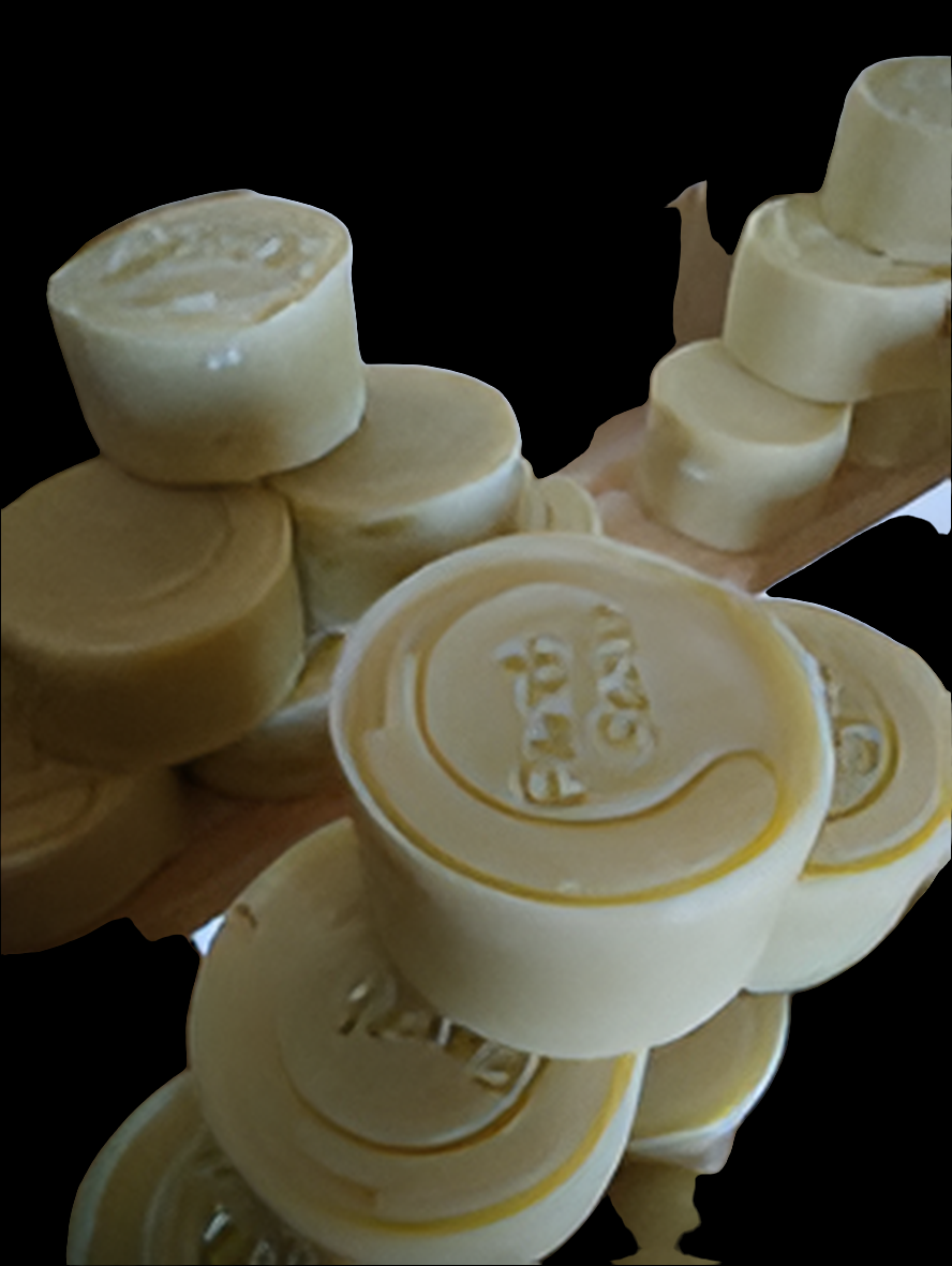 Shampoing Solide Équilibrant Bio Certifié – Bois de Santal – Cheveux normaux & tous types de cheveux – 60 g