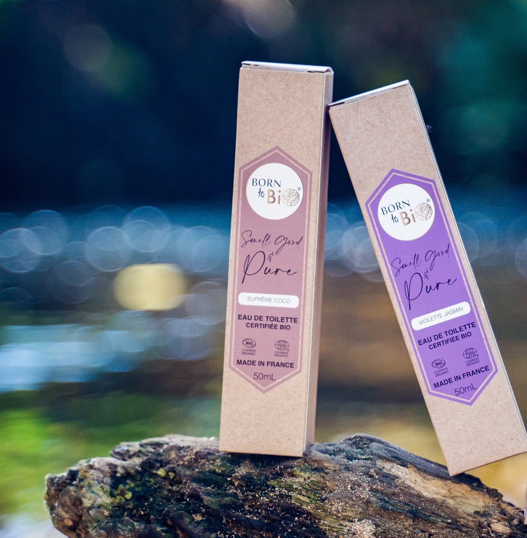 COCO x Vanille - Eau de Toilette